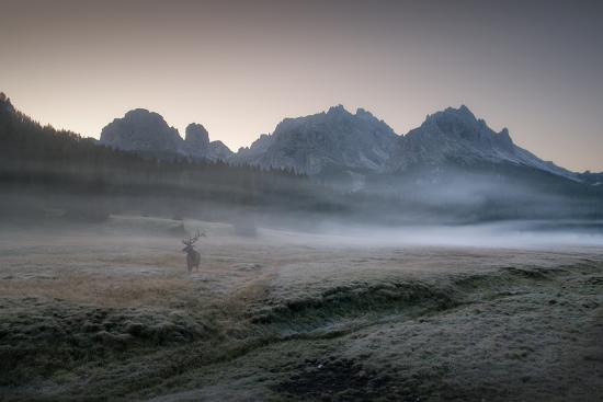 Photographic Print, , large