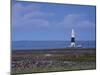 Inisheer Lighthouse, Inisheer, Aran Islands, Co, Galway, Ireland-Doug Pearson-Mounted Photographic Print