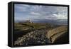 Inishmore Lighthouse, Inishmore, Aran Islands, Ireland-null-Framed Stretched Canvas