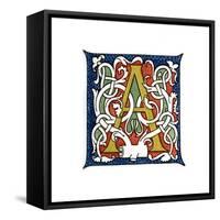 Initial Letter A-Henry Shaw-Framed Stretched Canvas
