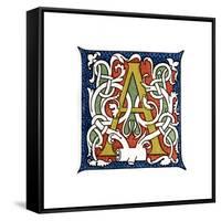 Initial Letter A-Henry Shaw-Framed Stretched Canvas