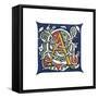 Initial Letter A-Henry Shaw-Framed Stretched Canvas