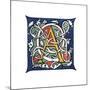 Initial Letter A-Henry Shaw-Mounted Giclee Print