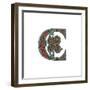 Initial Letter C, 1474-Henry Shaw-Framed Giclee Print