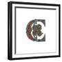 Initial Letter C, 1474-Henry Shaw-Framed Giclee Print