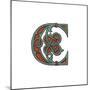 Initial Letter C, 1474-Henry Shaw-Mounted Giclee Print