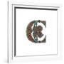 Initial Letter C, 1474-Henry Shaw-Framed Giclee Print