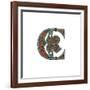 Initial Letter C, 1474-Henry Shaw-Framed Giclee Print