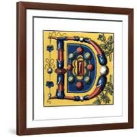 Initial Letter D, 15th Century-Henry Shaw-Framed Giclee Print