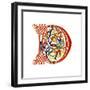 Initial Letter D, Late 12th Century-Henry Shaw-Framed Giclee Print