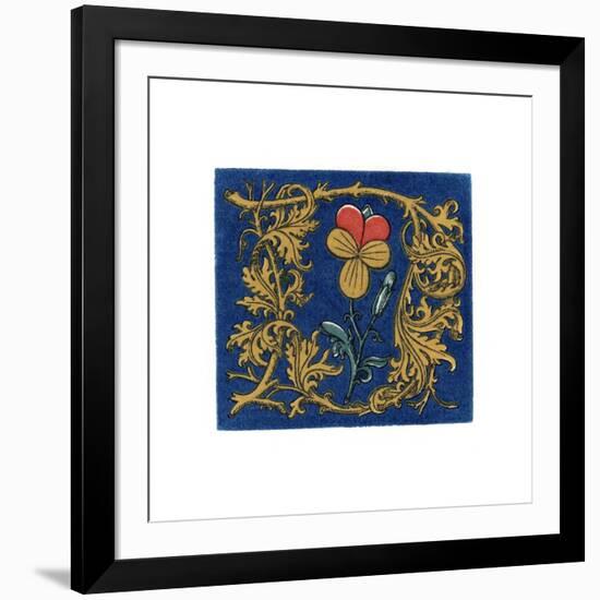 Initial Letter D-Henry Shaw-Framed Giclee Print