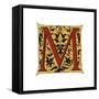 Initial Letter M-Henry Shaw-Framed Stretched Canvas