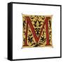 Initial Letter M-Henry Shaw-Framed Stretched Canvas