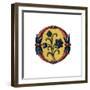 Initial Letter O, Late 15th Century-Henry Shaw-Framed Giclee Print