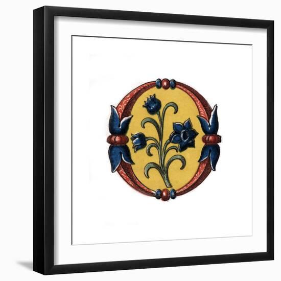 Initial Letter O, Late 15th Century-Henry Shaw-Framed Giclee Print