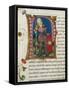 Initial Letter P Depicting Pericles-Pietro Candido Decembrio-Framed Stretched Canvas