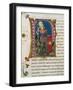 Initial Letter P Depicting Pericles-Pietro Candido Decembrio-Framed Giclee Print