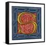 Initial Letter S-Henry Shaw-Framed Stretched Canvas