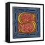 Initial Letter S-Henry Shaw-Framed Stretched Canvas