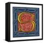 Initial Letter S-Henry Shaw-Framed Stretched Canvas