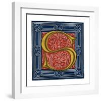 Initial Letter S-Henry Shaw-Framed Giclee Print