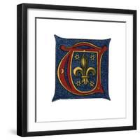 Initial Letter T, C16th Century?-Henry Shaw-Framed Giclee Print