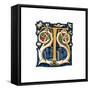 Initial Letter T-Henry Shaw-Framed Stretched Canvas