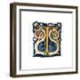 Initial Letter T-Henry Shaw-Framed Giclee Print