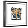 Initial Letter T-Henry Shaw-Framed Giclee Print