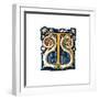 Initial Letter T-Henry Shaw-Framed Giclee Print