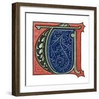 Initial Letter T-Henry Shaw-Framed Giclee Print