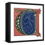 Initial Letter T-Henry Shaw-Framed Stretched Canvas