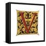 Initial Letter V-Henry Shaw-Framed Stretched Canvas