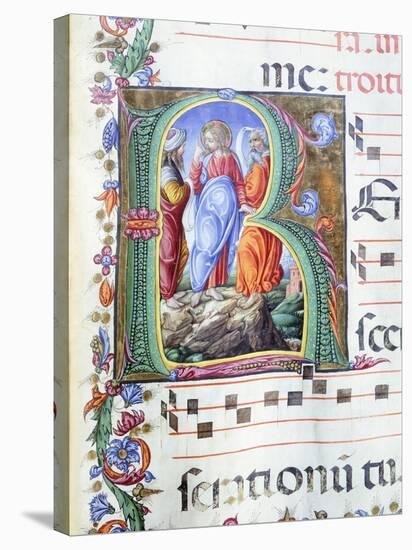 Initial, Miniature by Liberale of Verona from a Medieval Gradual-null-Stretched Canvas