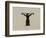 Initial T with Woman, 1929-Eric Gill-Framed Giclee Print