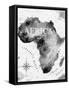 Ink Africa Map-anna42f-Framed Stretched Canvas