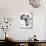 Ink Africa Map-anna42f-Stretched Canvas displayed on a wall