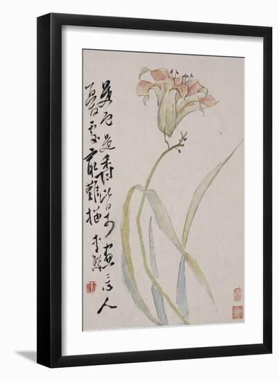 Ink and Colour Drawing of a Lily, 18th Century-null-Framed Giclee Print