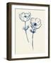 Ink Anemones I-Sara Zieve Miller-Framed Art Print