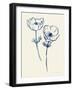 Ink Anemones I-Sara Zieve Miller-Framed Art Print