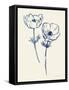 Ink Anemones I-Sara Zieve Miller-Framed Stretched Canvas