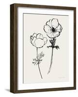 Ink Anemones II Black-Sara Zieve Miller-Framed Art Print