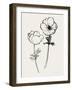 Ink Anemones II Black-Sara Zieve Miller-Framed Art Print