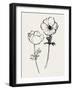 Ink Anemones II Black-Sara Zieve Miller-Framed Art Print