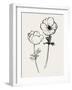 Ink Anemones II Black-Sara Zieve Miller-Framed Art Print