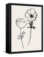 Ink Anemones II Black-Sara Zieve Miller-Framed Stretched Canvas