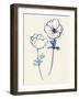 Ink Anemones II-Sara Zieve Miller-Framed Art Print