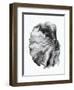 INK BETTA-Andi Halil-Framed Photographic Print