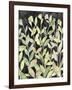 Ink Blooming Night I-Grace Popp-Framed Art Print