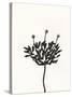 Ink Botanical Sketch III-J. Holland-Stretched Canvas